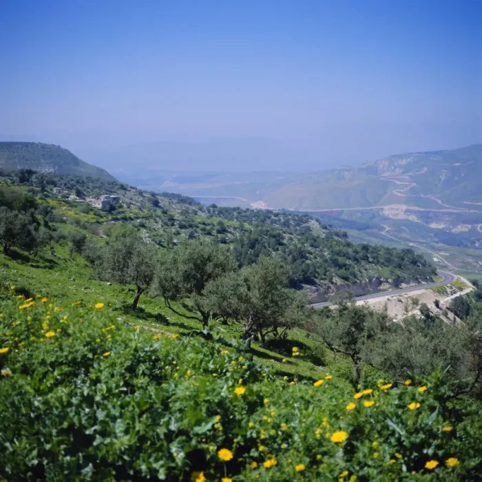 Framed Print : Umm Qais by the Sea of Galilee Framed Print : Umm Qais by the Sea of Galilee