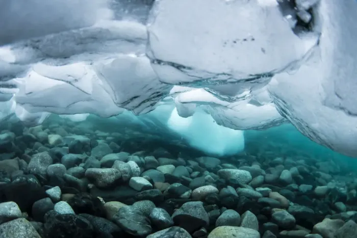 Framed Print : Underwater view of dense brash ice at Cuverville Island, Ererra Channel, Antarctica Framed Print : Underwater view of dense brash ice at Cuverville Island, Ererra Channel, Antarctica