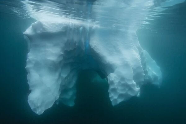 Underwater view of glacial ice near Wiencke Island, Antarctica, Polar Regions