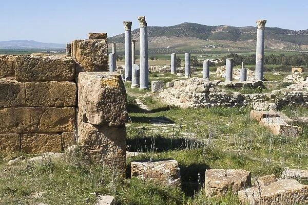 Unidentified temple, Roman ruin of Thuburbo Majus, Tunisia, North Africa, Africa