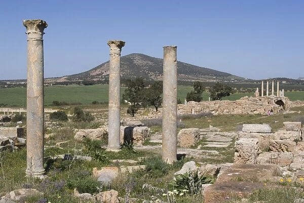Unidentified temple, Roman ruin of Thuburbo Majus, Tunisia, North Africa, Africa