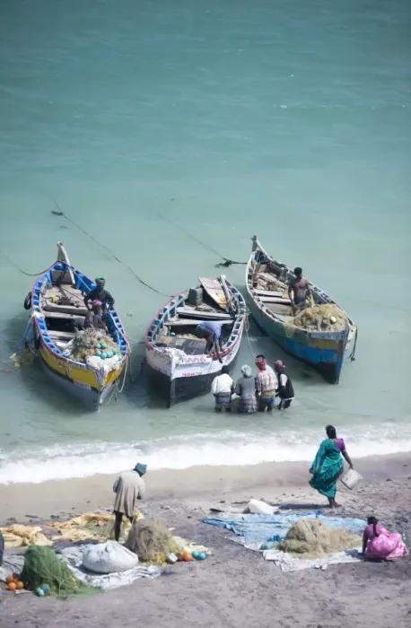 Framed Print : Unloading the mornings catch of fish, Dhanushkodi, Tamil Nadu, India, Asia Framed Print : Unloading the mornings catch of fish, Dhanushkodi, Tamil Nadu, India, Asia