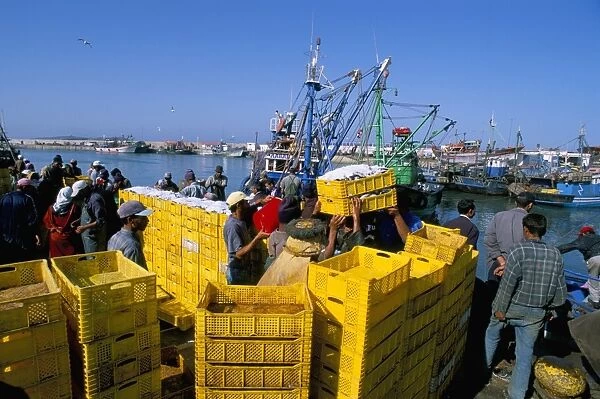 Unloading sardine catch