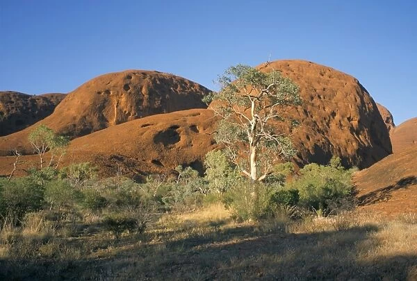 Unusual weathered rock formation, the Olgas, Northern Territory, Australia, Pacific