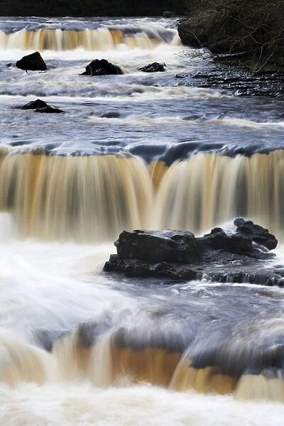 Upper Aysgarth Falls, Aysgarth, Yorkshire Dales, Yorkshire, England, United Kingdom, Europe