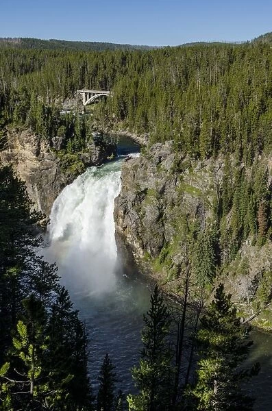 Upper Falls, Yellowstone National Park, UNESCO World Heritage Site, Wyoming, United