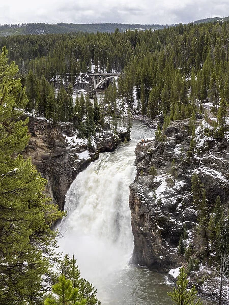The upper Yellowstone Falls in the Yellowstone River, Yellowstone National Park