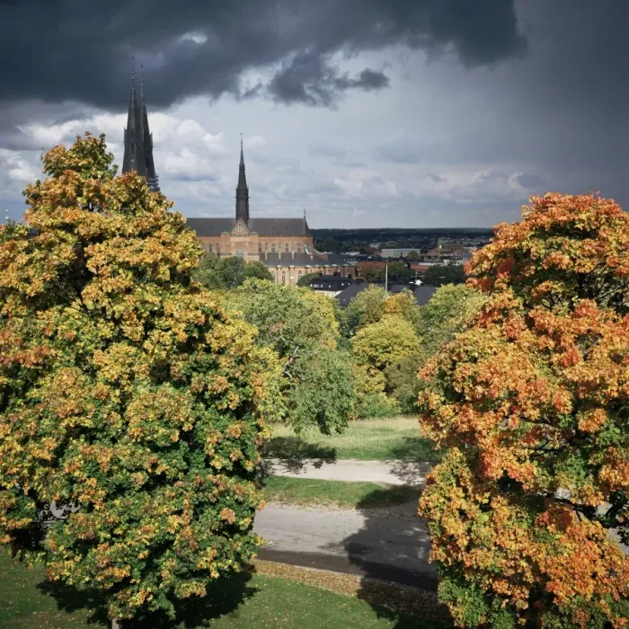 Framed Print : Uppsala cathedral Framed Print : Uppsala cathedral