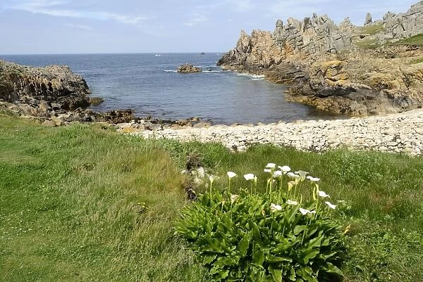 Ushant island, Brittany, France, Europe