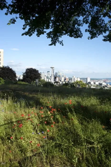 Framed Print : Vacant lot across the street from Kerry Park, Seattles best destination to view the skyline Framed Print : Vacant lot across the street from Kerry Park, Seattles best destination to view the skyline