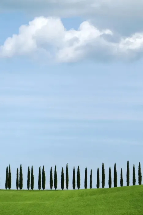 Framed Print : Val D Orcia, UNESCO World Heritage Site, Tuscany, Italy, Europe
