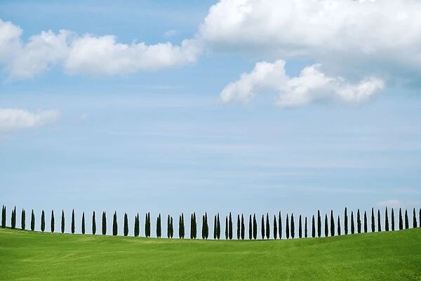 Val D Orcia, UNESCO World Heritage Site, Tuscany, Italy, Europe