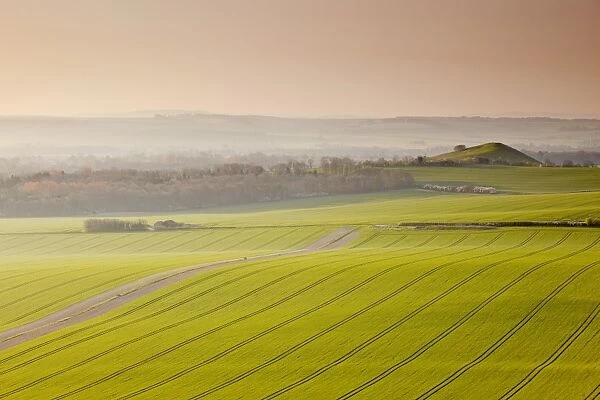 The Vale of Pewsey at first light, Wiltshire, England, United Kingdom, Europe