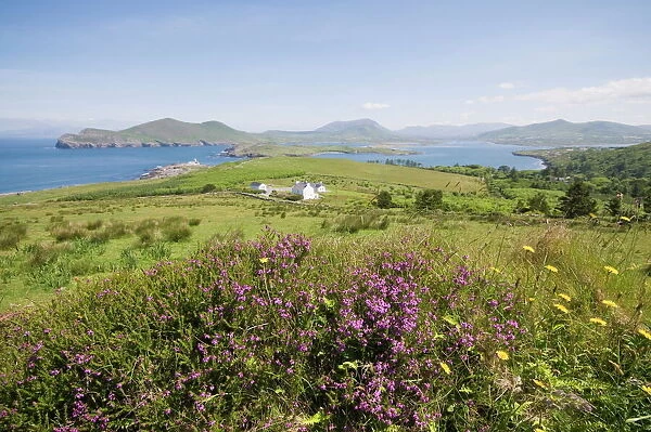 Valentia Island, Ring of Kerry, County Kerry, Munster, Republic of Ireland, Europe