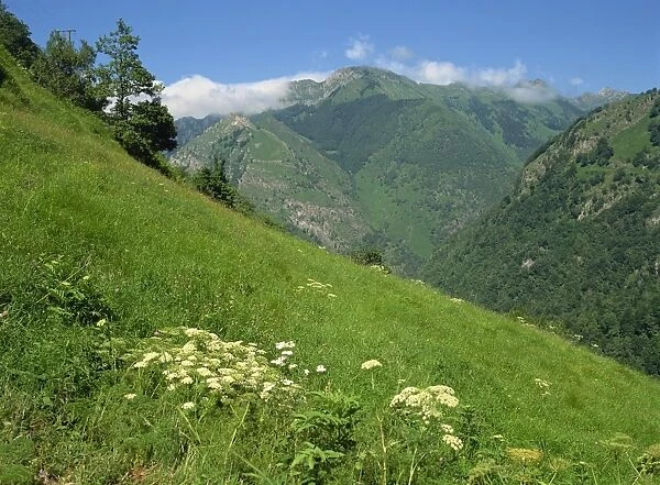 Vallee d Aspe, Bearn, Pyrenees Atlantique, Aquitaine, France, Europe