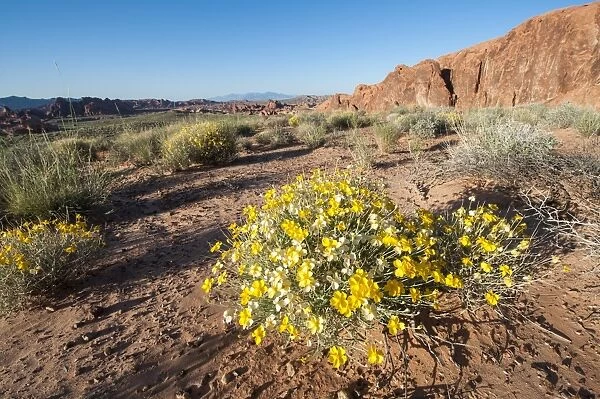 Valley of Fire State Park outside Las Vegas, Nevada, United States of America, North