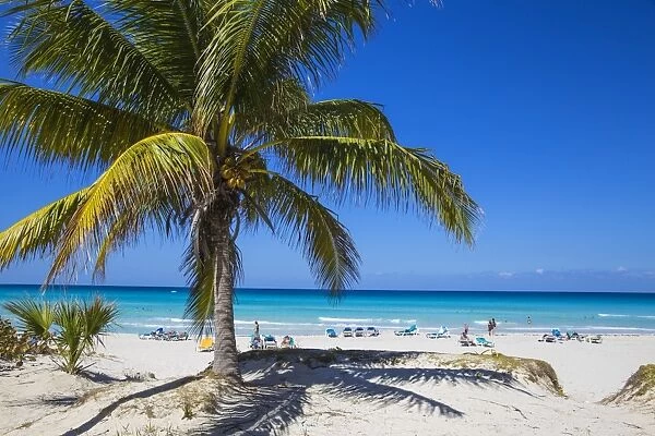 Varadero beach, Varadero, Cuba, West Indies, Caribbean, Central America