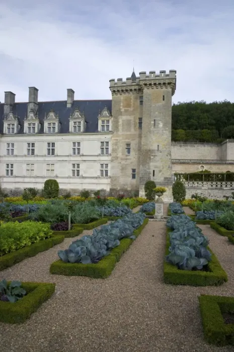 Framed Print : Vegetable garden, Chateau de Villandry, UNESCO World Heritage Site, Indre-et-Loire, Touraine, Loire Valley, France, Europe Framed Print : Vegetable garden, Chateau de Villandry, UNESCO World Heritage Site, Indre-et-Loire, Touraine, Loire Valley, France, Europe