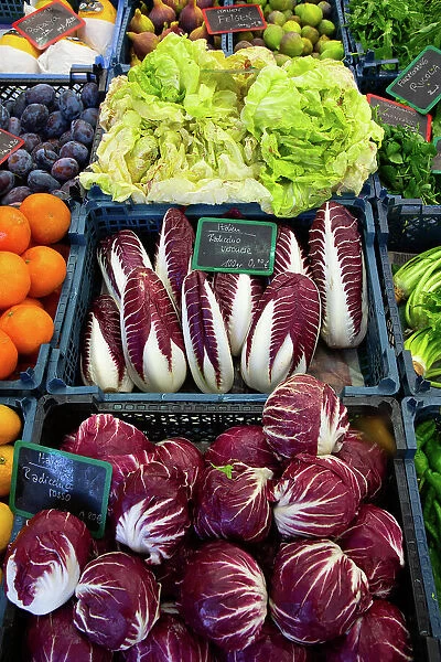 Vegetables including radicchio for sale, Viktualienmakt (Market), Old Town, Munich, Bavaria, Germany, Europe