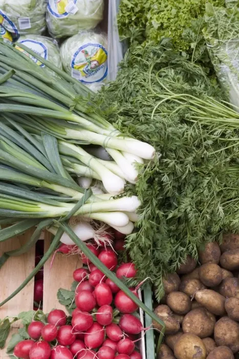 Framed Print : Vegetables including spring onions, potatoes and radishes on market stall Framed Print : Vegetables including spring onions, potatoes and radishes on market stall