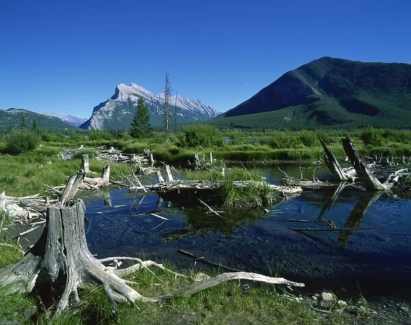 Vermillion Lake and Mount Rundle, Banff National Park, UNESCO World Heritage Site