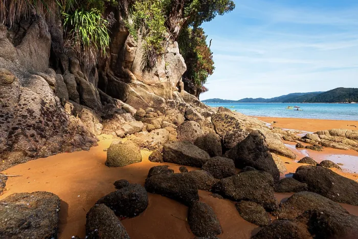 Framed Print : Vertical Shot of Golden Cove Framed by Forest and Rocks, Abel Tasman National Park, New Zealand Framed Print : Vertical Shot of Golden Cove Framed by Forest and Rocks, Abel Tasman National Park, New Zealand