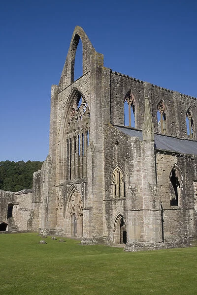 Vertical view of West front and South west corner of Tintern Abbey, Monmouthshire