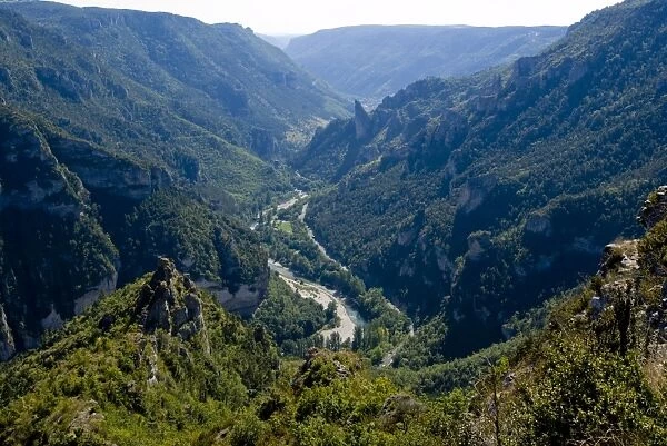 Vew from Point Sublime of the Gorges du Tarn, Massif Central, France, Europe