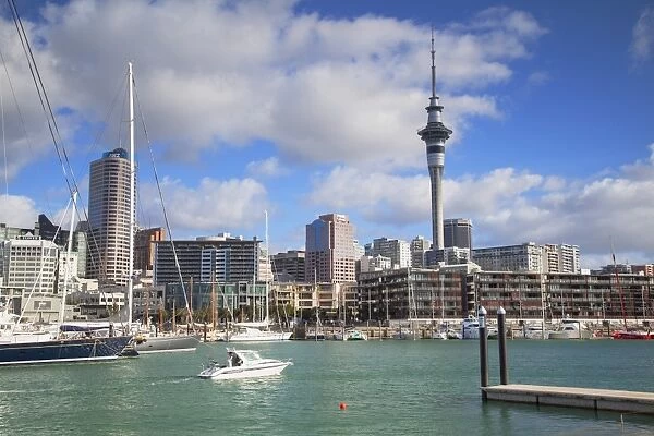 Viaduct Harbour and Sky Tower, Auckland, North Island, New Zealand, Pacific