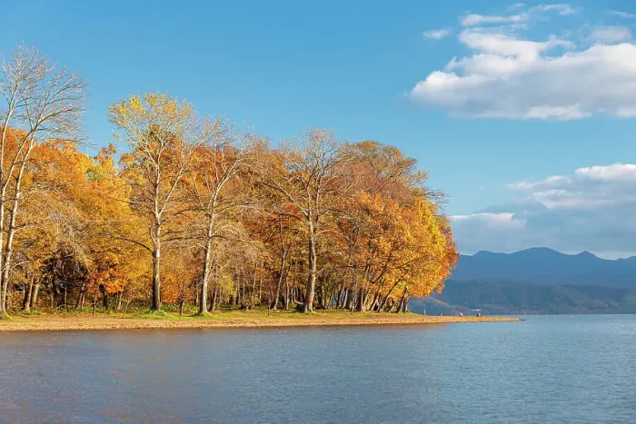 Framed Print : Vibrant autumn colors on Lake Toya, volcanic lake with trees on a sandy shore, Abuta, Hokkaido, Japan, Asia Framed Print : Vibrant autumn colors on Lake Toya, volcanic lake with trees on a sandy shore, Abuta, Hokkaido, Japan, Asia