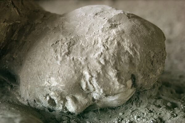 Victim of Vesuvius eruption