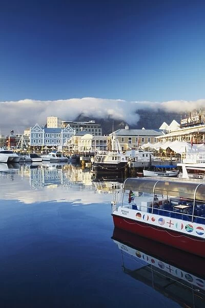 Victoria and Alfred Waterfront at dawn, Cape Town, Western Cape, South Africa, Africa