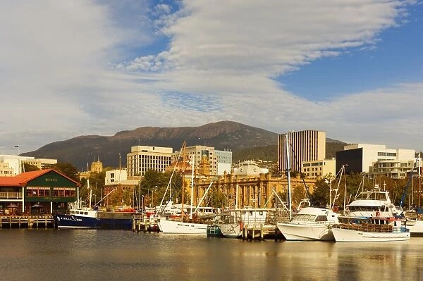 Victoria Dock, Hobart, Tasmania, Australia, Pacific