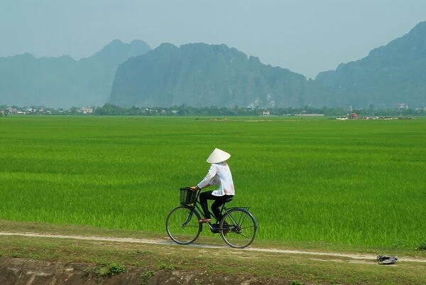 Vietnamese woman on bicycle, Tam Coc, Kenh Ga, Ninh Binh area, Vietnam