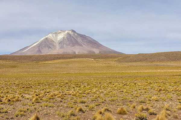 View of the altiplano near Canapa Lake (Laguna Canapa), Potosi Department