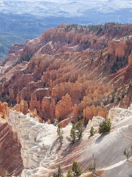 A view of the amphitheater from the rim at 10000 feet in Cedar Breaks National Monument