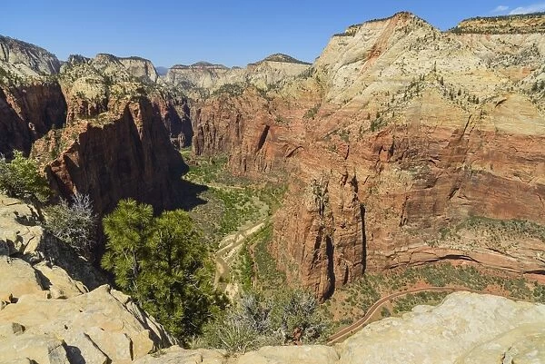 View from Angels Landing, Zion National Park, Utah, United States of America, North America