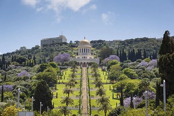 View over the Bahai Gardens, Haifa, Israel, Middle East