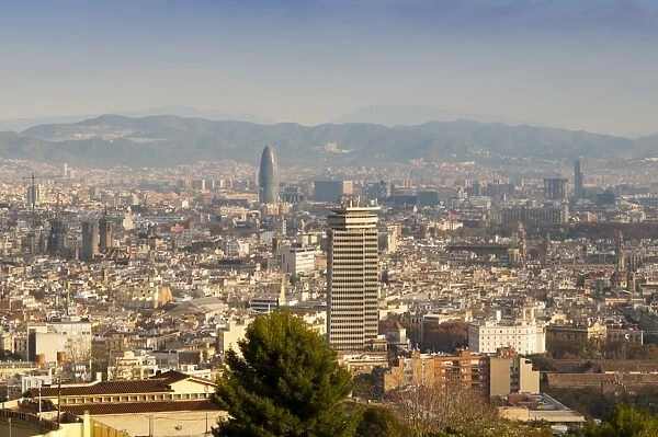 View of Barcelona from Mirador del Alcade, Barcelona, Catalunya (Catalonia) (Cataluna), Spain, Europe