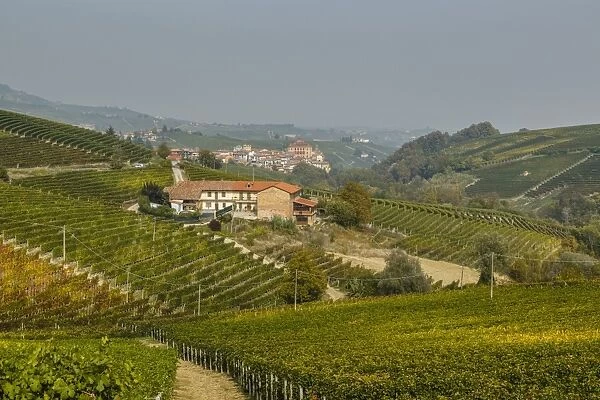 View over Barolo village and vineyards, Langhe, Cuneo district, Piedmont, Italy, Europe