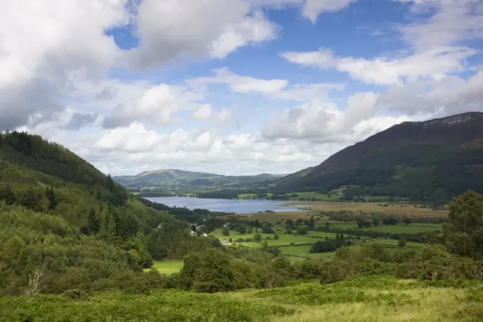 Framed Print : View towards Bassenthwaite Lake from the Whinlatter Pass road, near Keswick Framed Print : View towards Bassenthwaite Lake from the Whinlatter Pass road, near Keswick