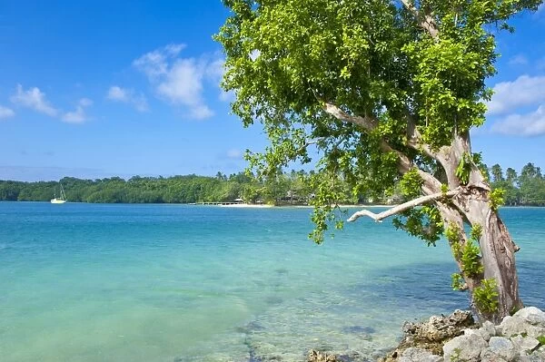 View across the bay to Oyster island, Island of Espiritu Santo, Vanuatu, South Pacific, Pacific