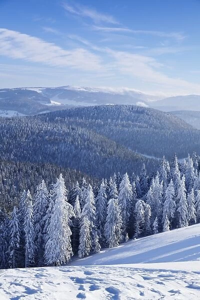 View from Belchen Mountain to Feldberg Mountain in winter, Black Forest, Baden-Wurttemberg
