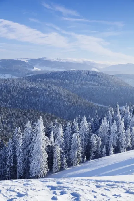 Framed Print : View from Belchen Mountain to Feldberg Mountain in winter, Black Forest, Baden-Wurttemberg Framed Print : View from Belchen Mountain to Feldberg Mountain in winter, Black Forest, Baden-Wurttemberg