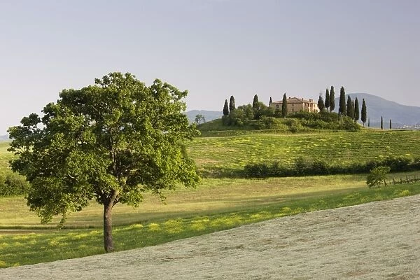 View of Belvedere from Val d Orcia, San Quirico d Orcia, near Pienza