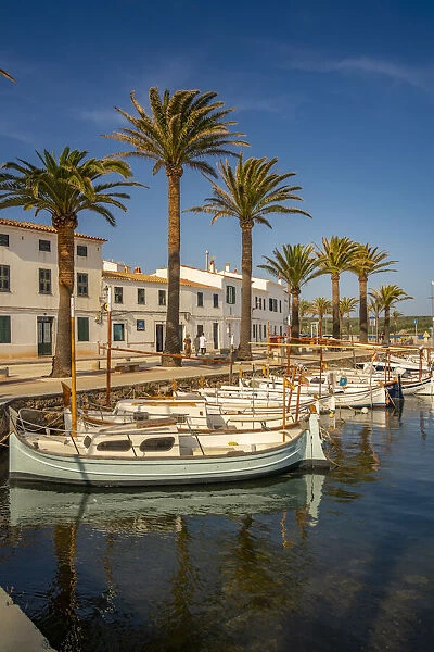View of boats and palm trees in the marina and houses in Fornelles, Fornelles, Menorca, Balearic Islands, Spain, Mediterranean, Europe