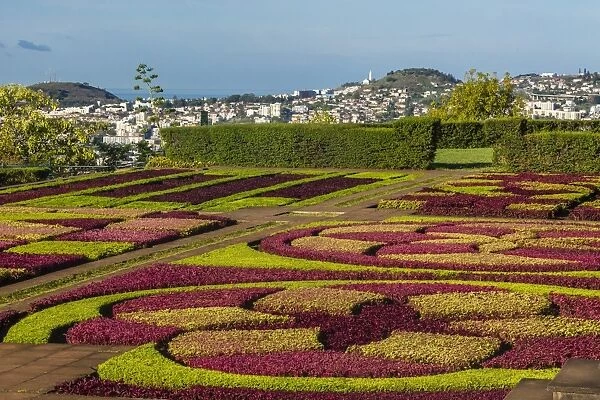 A view of the Botanical Gardens, Jardim Botanico do Funchal, in the city of Funchal, Madeira, Portugal, Europe