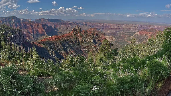 View of Brady Peak from the Vista Encantada Picnic area on Grand Canyon North Rim, Grand Canyon National Park, UNESCO World Heritage Site, Arizona, United States of America, North America