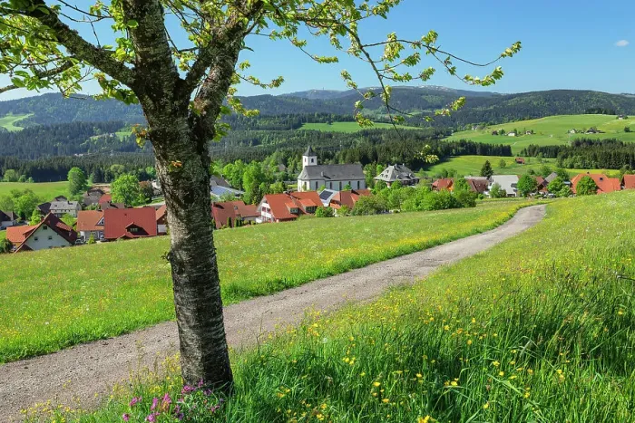 Framed Print : View from Breitnau to Feldberg Mountain, Black Forest, Baden-Wurttemberg, Germany Framed Print : View from Breitnau to Feldberg Mountain, Black Forest, Baden-Wurttemberg, Germany