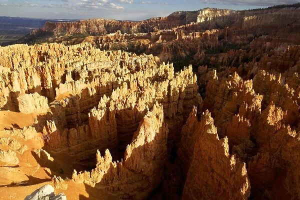 View over Bryce Canyon National Park at sunset, Utah, United States of America, North America